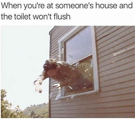 Flush The Toilet Meme
