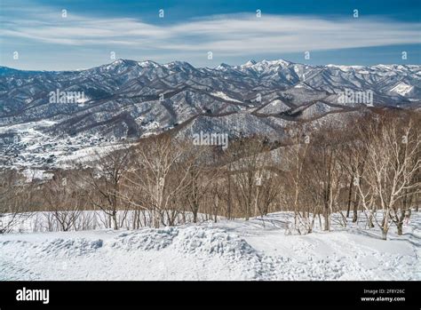 Winter Landscape Japanese Mountains In The Snow Mt Moiwa View Of Tree
