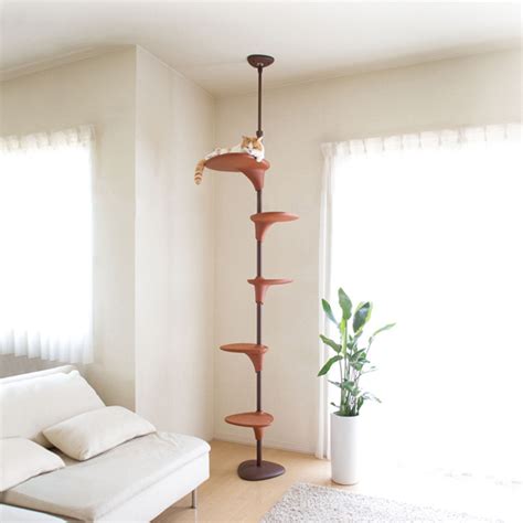 Which floor to ceiling cat tree is right for your cat? Floor To Ceiling Cat Furniture - Carpet Vidalondon