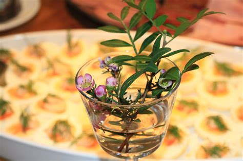 Free Images Plant Flower Vase Dish Meal Food Produce Lighting