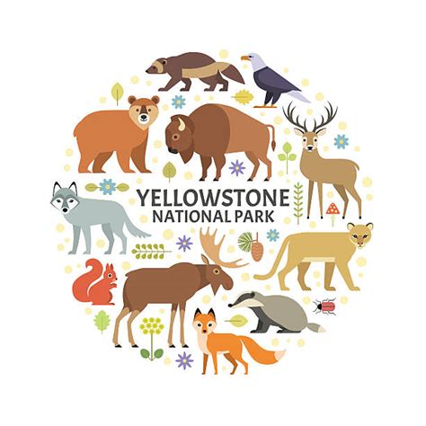 750 yellowstone national park stock illustrations royalty free vector graphics and clip art istock