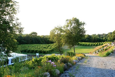 Preston Ridge Vineyard Connecticut Ct Wine Trail