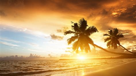 sunset, Beach, Sky, Clouds, Nature, Landscape, Trees Wallpapers HD 
