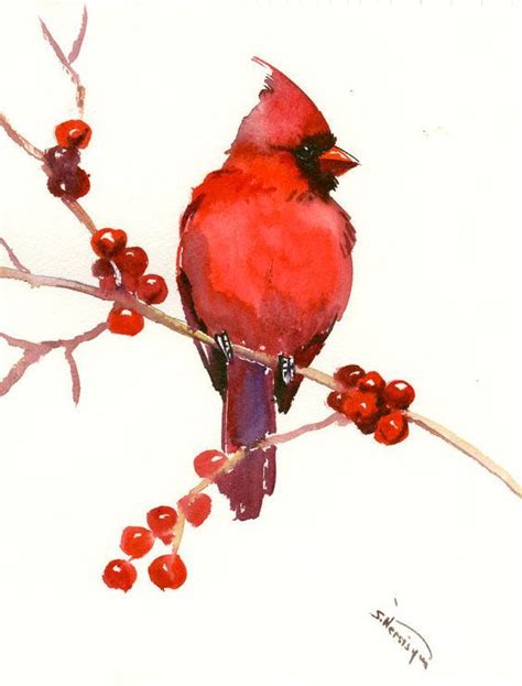 Watercolor Cardinal On Berried Branch Watercolor Bird Cardinal Birds Art Bird Art