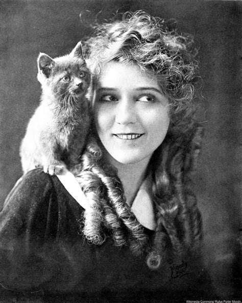 Did You Know These 10 Famous Figures Were Cat People
