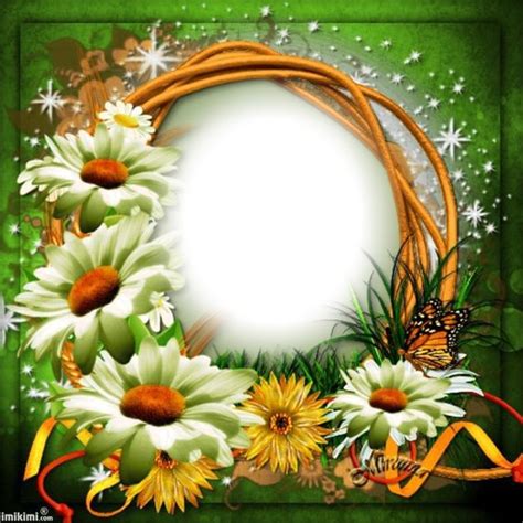 Flower Photo Frame Effect Pixiz