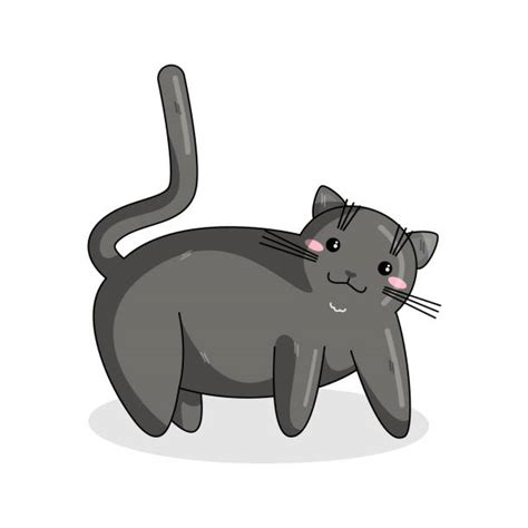 British Shorthair Cat Illustrations Royalty Free Vector Graphics And Clip Art Istock