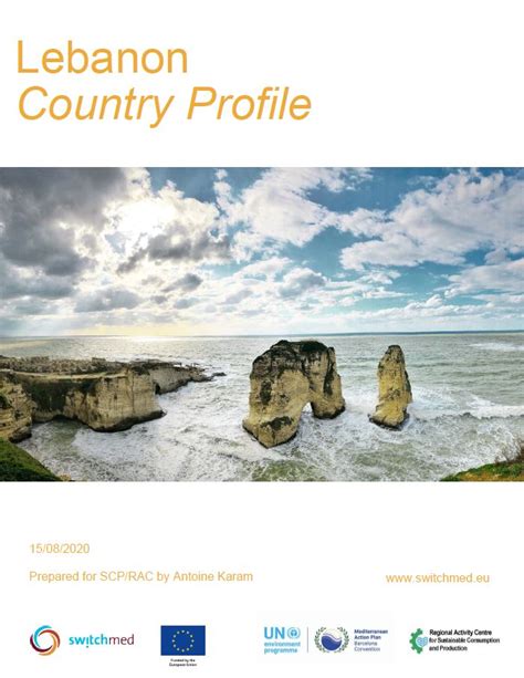 Country Profiles Switchmed