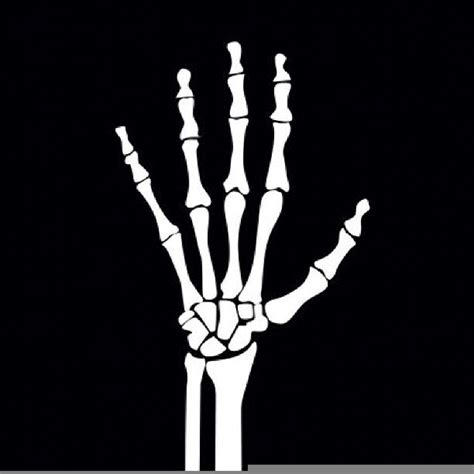 Clipart Skeleton Hand Free Images At Vector Clip Art
