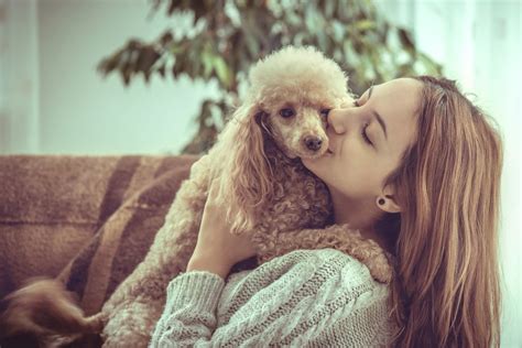 Many Women Prefer Being With Their Dog Over Any Person In Their Life