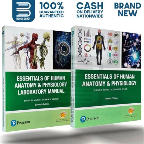 Essentials Of Human Anatomy And Physiology 12th Edition With Manual