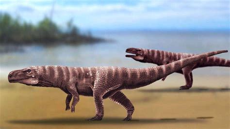 These Ancient Crocodiles Walked On Legs Like Dinosaurs Geology In
