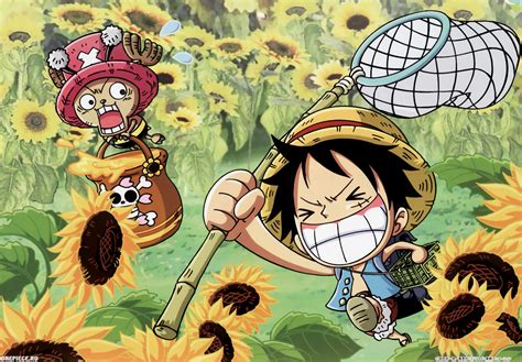 Anime, one piece, monkey d. One Piece wallpaper HD ·① Download free stunning High Resolution backgrounds for desktop ...