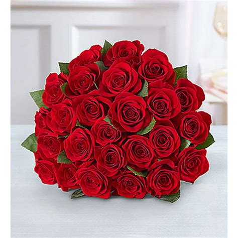 1800flowers Two Dozen Red Roses Flower Bouquet 24 Flowers Walmart