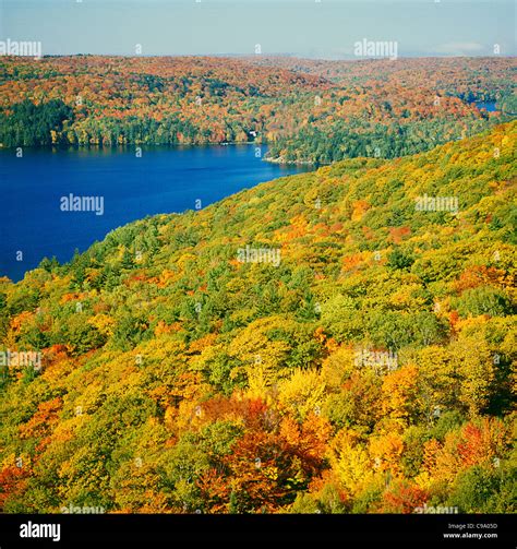Dorset Ontario High Resolution Stock Photography And Images Alamy
