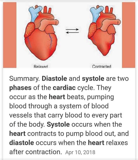 What Is Systolic And Diastolic Phase Of Heart Edurev Neet Question