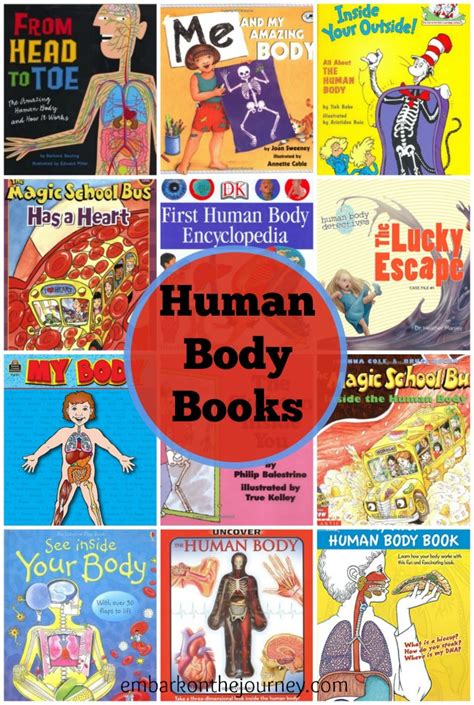 Human Body Books For Kids