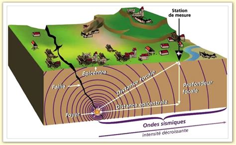 Le Séisme Effets Et Causes