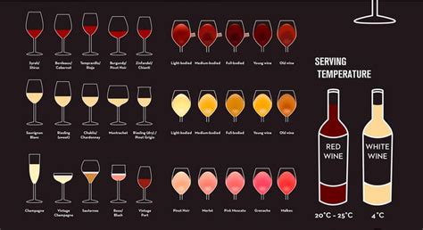 What Do You Know About Wine If You Know All About It This Infographic