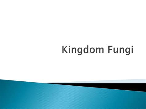 Ppt Kingdom Fungi Powerpoint Presentation Free Download Id2574518