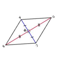 Diagonals Of Parallelograms, Rectangles, Rhombuses and Squares Flashcards | Quizlet