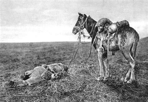 The Animals That Helped Fight World War I 45 Pics