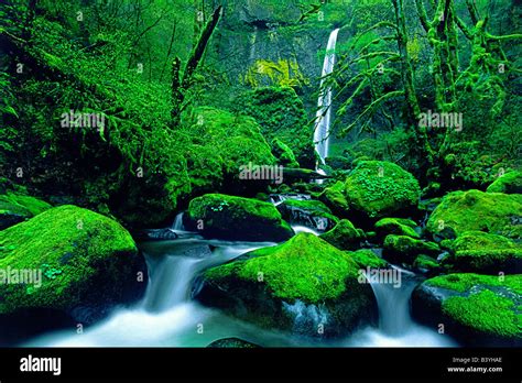 Usa Oregon Columbia River Gorge National Scenic Area View Of Elowah