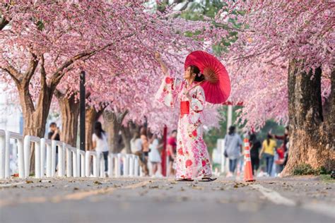 Woman In Yukata Kimono Dress Holding Umbrella And Looking Sakura Flower Or Cherry Blossom