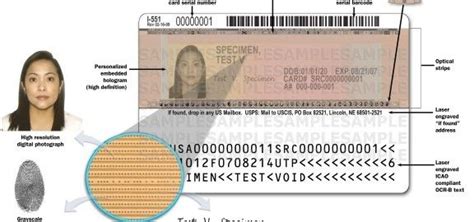 Prepare your resident card renewal application online today. How to Read a Green Card - CitizenPath