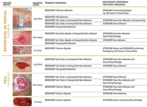 Medihoney Gel Wound And Burn Dressing Derma Sciences 31815 31805 31840