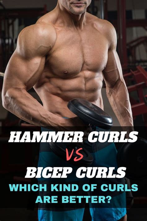 Hammer Curls Vs Bicep Curls Which Kind Of Curls Are Better Bicep