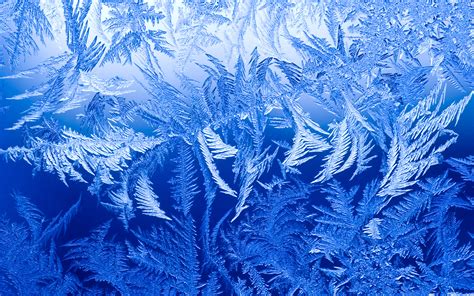 Ice Crystals Form On A Window During Sub Zero Temperatures Hd Wallpapers