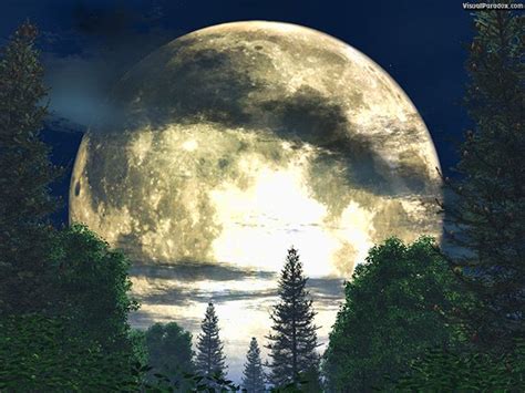 Visual Paradox Free 3d Wallpaper Forest Moon Multiple Wallpaper Sizes
