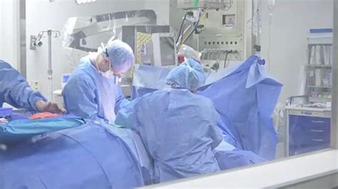 Local Hospital Launches Nation S First Fellowship For Doctors To Learn Gender Affirming Surgery