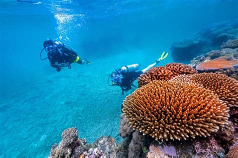 The Remote Resort Fiji Diving Packages Fiji Resorts