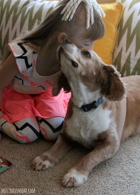 10 Ways To Bond With Your Dog Dogs Best Dogs Pets