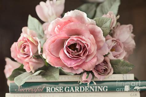 Shabby Chic Vintage Roses Dreamy Ethereal Peach Pink Roses Garden