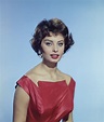 Sophia Loren photo 275 of 752 pics, wallpaper - photo #193974 - ThePlace2