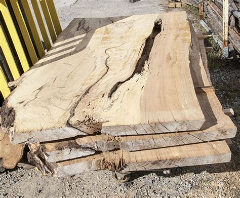 Large Live Oak Slabs Slabs Are 2 In Thick Range From Approximately 47