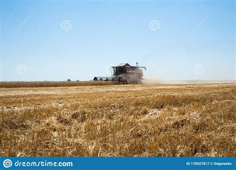 Combine Harvesters In A Field Of Wheat Stock Image Image Of Harvest