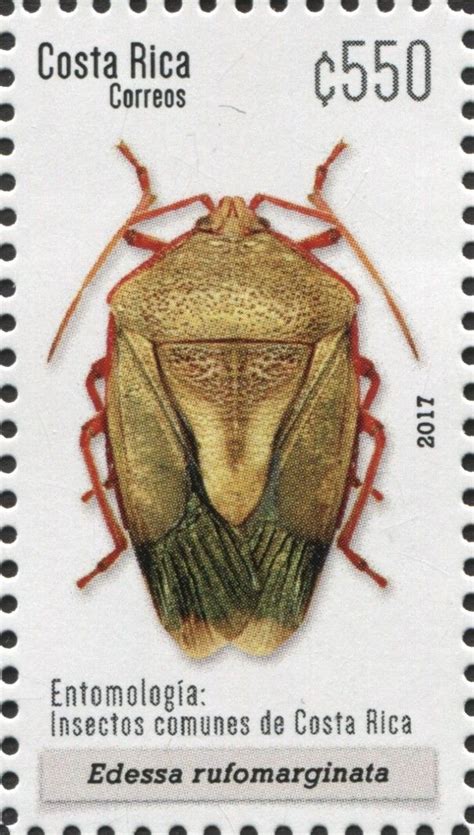 Pin De Mashimaro En Stampdsign Insectos Entomologia Costa