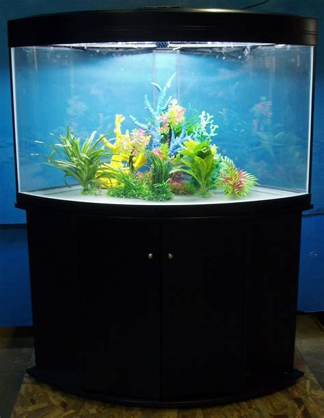 Fish Tank 80 Gallon Fish Tank Tank Gallon
