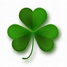 What Is a Shamrock? - Lima's Blog