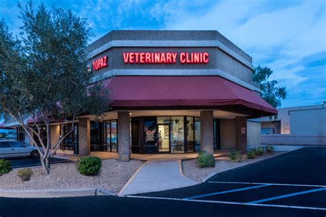 Our pet clinic is very busy today. Chandler Az Veterinarians