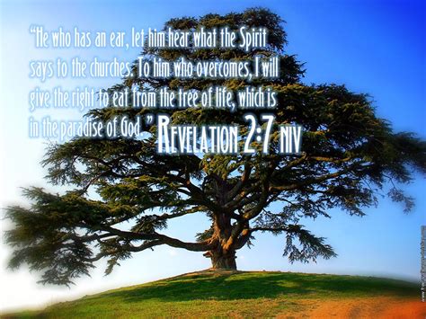 Tree Pictures With Scripture Verses Revelation 27 Tree Of Life