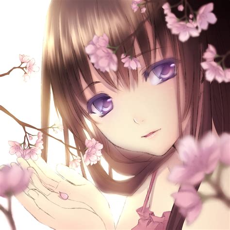 Anime Girl Brown Hair Purple Eyes Sakura Short Hair Wallpaper
