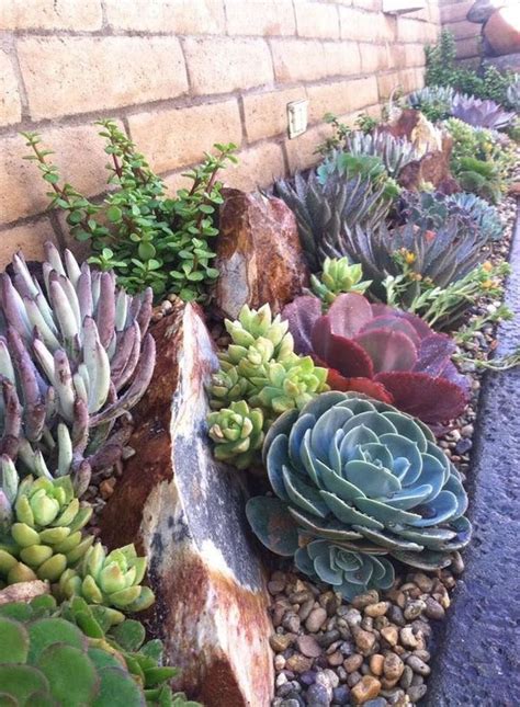 Creating A Beautiful Small Succulent Garden Bed Succulent Source