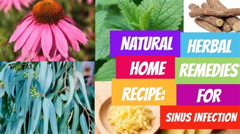 natural home recipe herbal remedies for sinus infection youtube