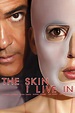 The Skin I Live In Movie Review (2011) | Roger Ebert