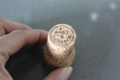 How To Recycle Old Wine Corks Into Cute Mini Planters How To Make